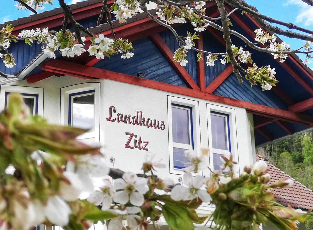 Landhaus Zitz Lägenhet Ranten Exteriör bild